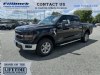 New 2024 Ford F-150 - Boscobel - WI